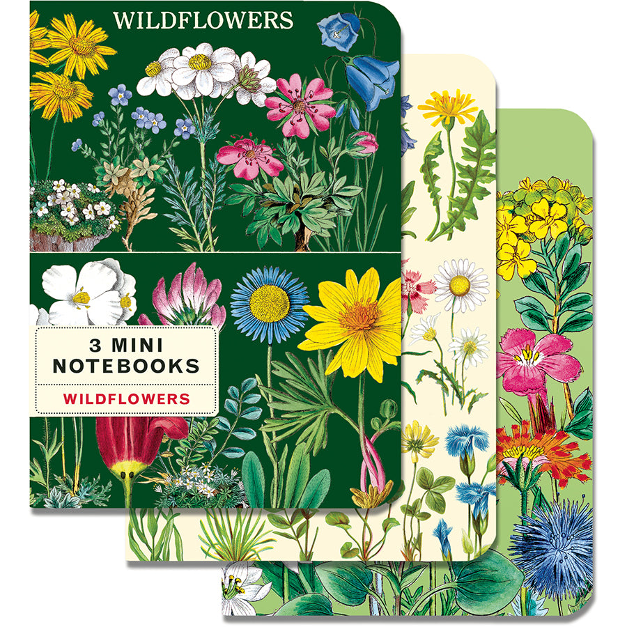 Set of three mini notebooks with wildflower illustrations on a white background