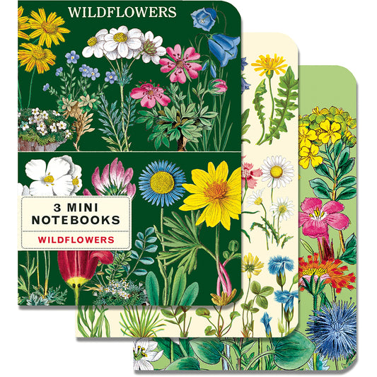 Set of three mini notebooks with wildflower illustrations on a white background