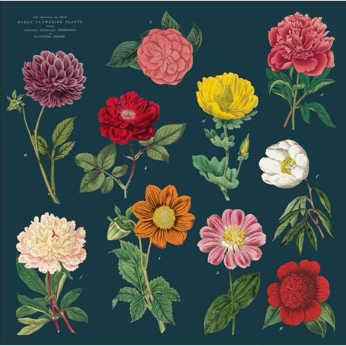 Cavallini & Co. Cloth Napkin Set of 4 - Botanica