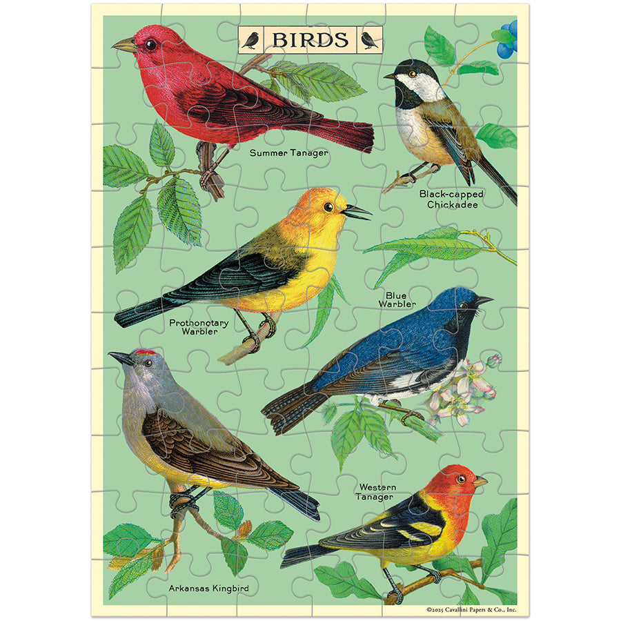 *Coming Soon Spring 2026* Cavallini & Co. Puzzle Greeting Card - Bird Watching
