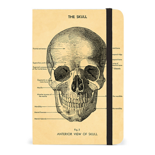 Notebook with a skull illustration on a beige cover