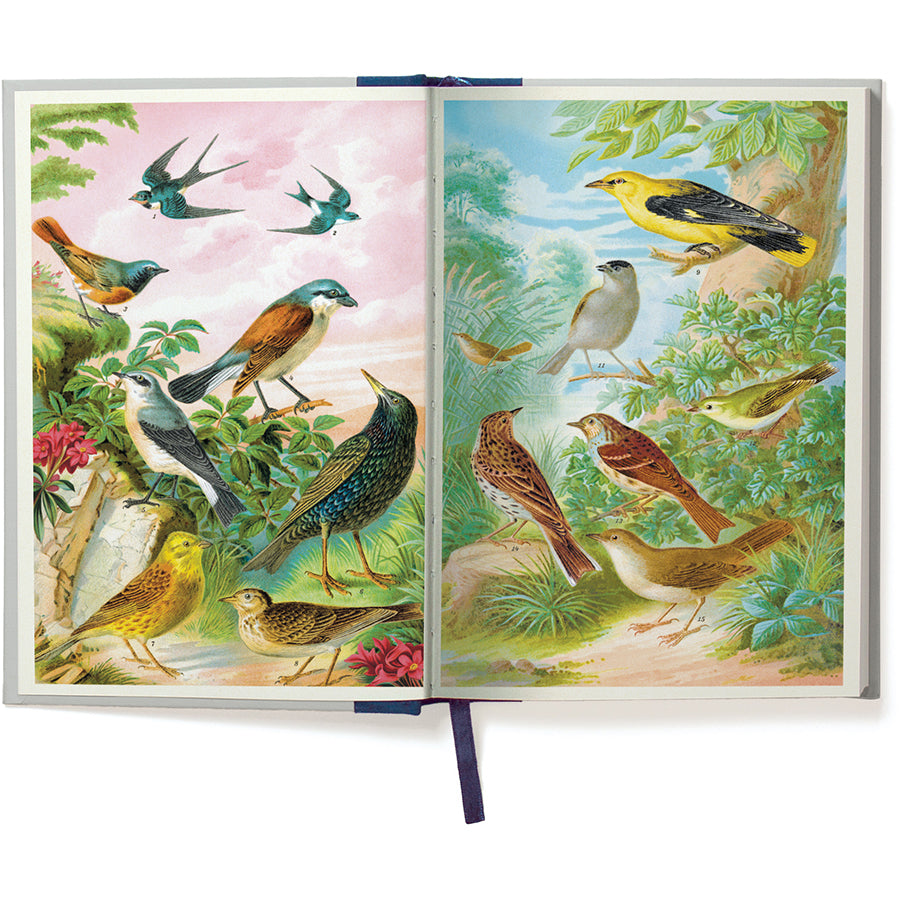 Open notebook book with illustrations of birds on each page