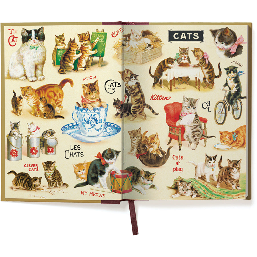 Open book with illustrations of cats on each page