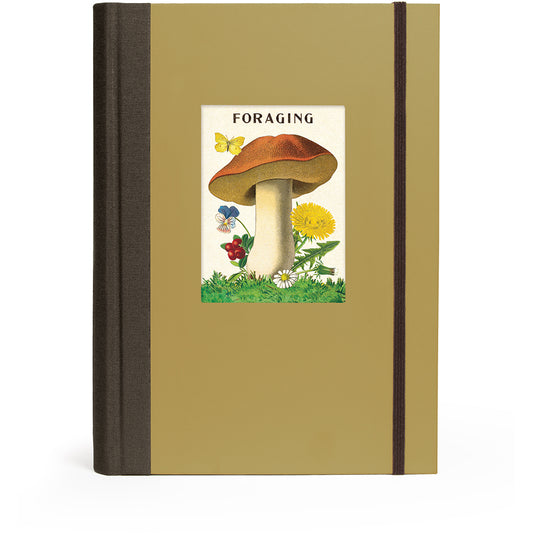Notebook with a mushroom illustration on the cover, titled 'Foraging'.