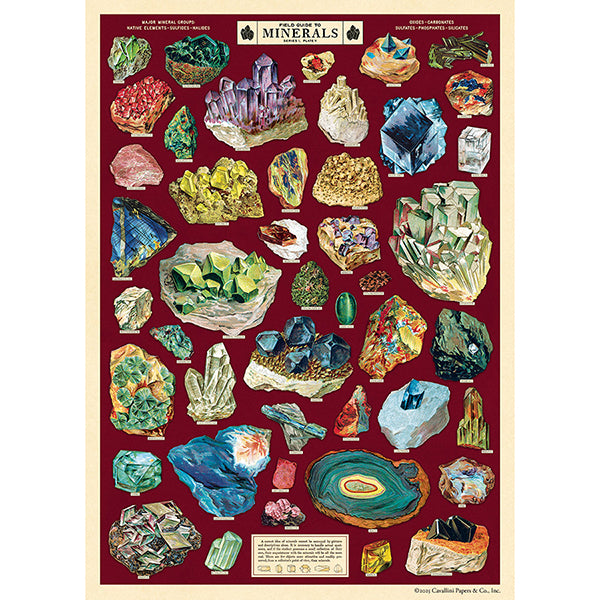 Cavallini & Co. Wrap - Field Guide to Minerals