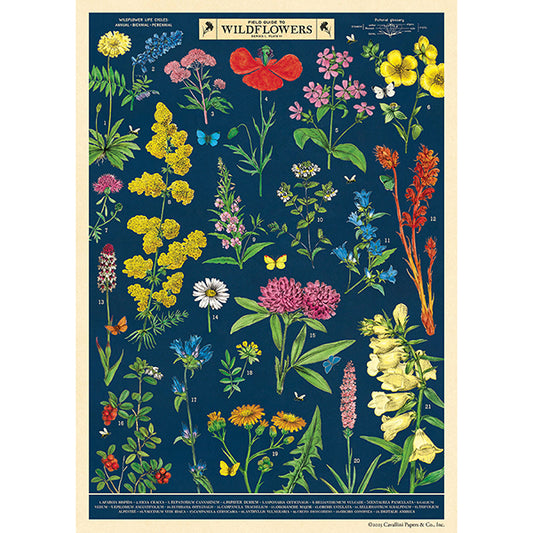 Cavallini & Co. Wrap - Field Guide to Wildflowers