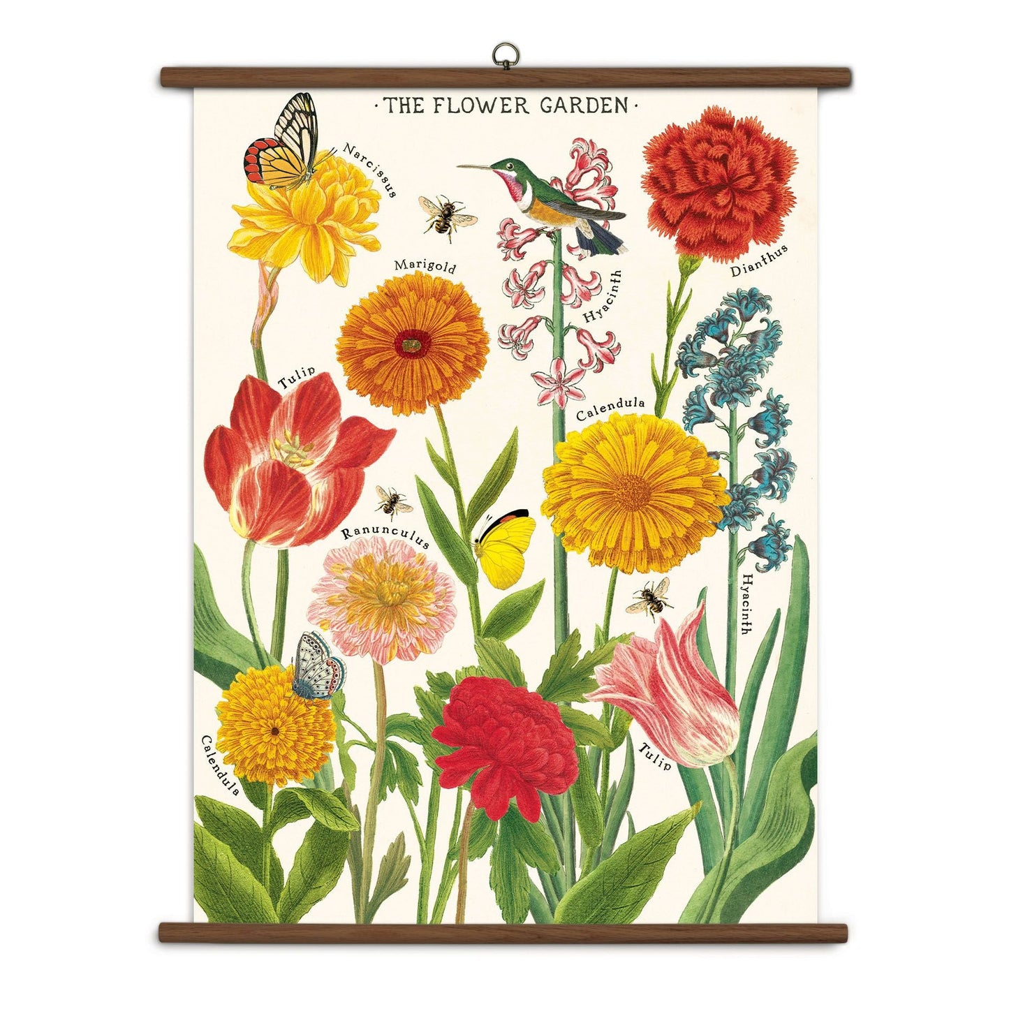 Cavallini & Co. Vintage School Chart - Flower Garden