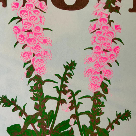 Fox Glove Riso Print
