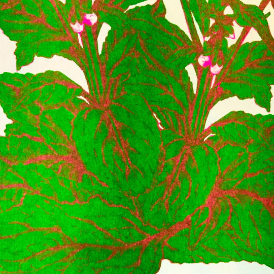 Fox Glove Riso Print