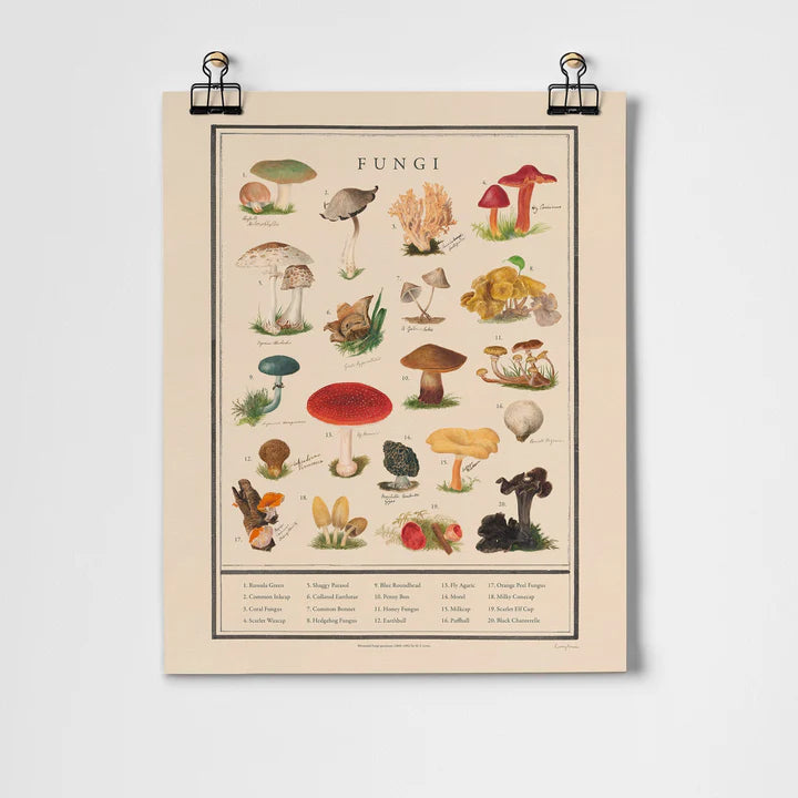 Roomytown Unframed Art Print 11"x14"- Fungi