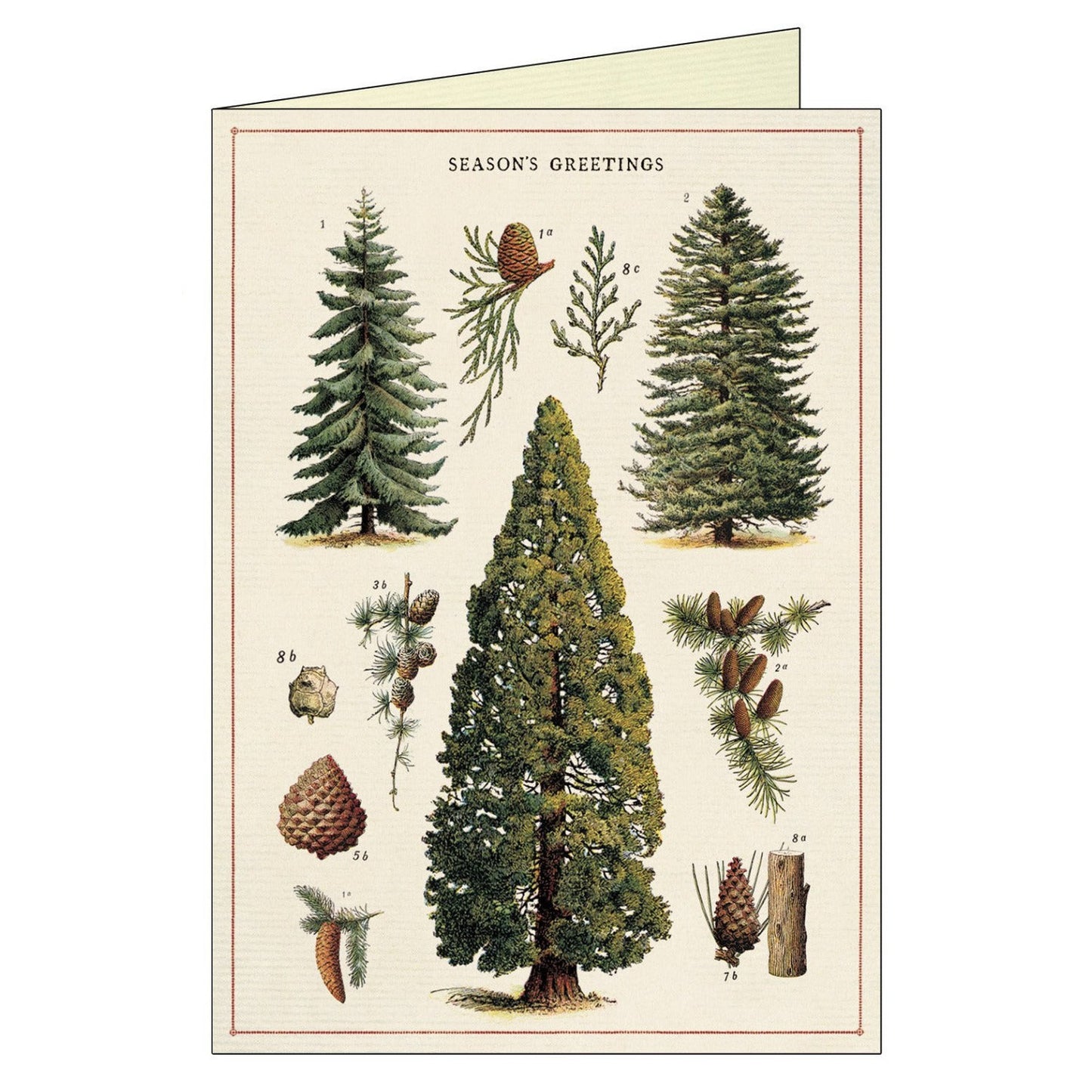 Cavallini & Co. Boxed Note Cards - Christmas Trees