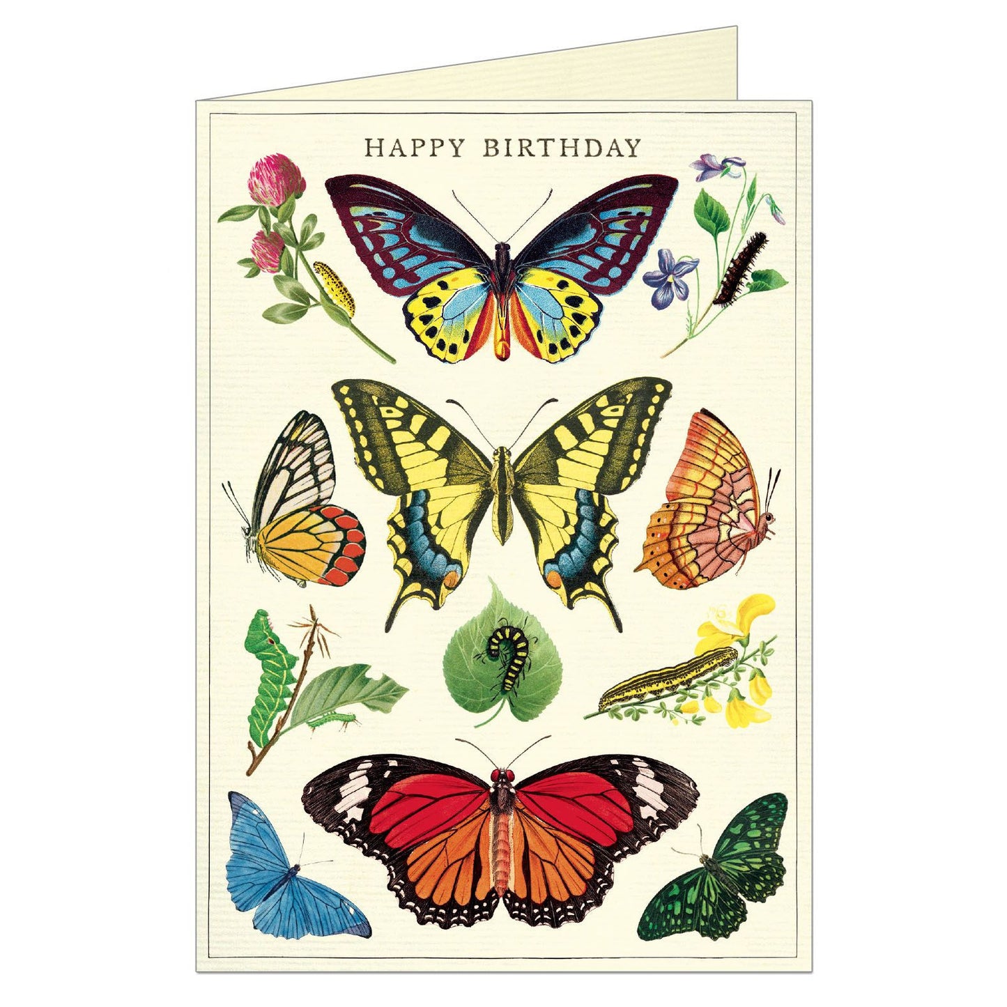 Cavallini & Co. Greeting Card - Happy Birthday Butterflies 2