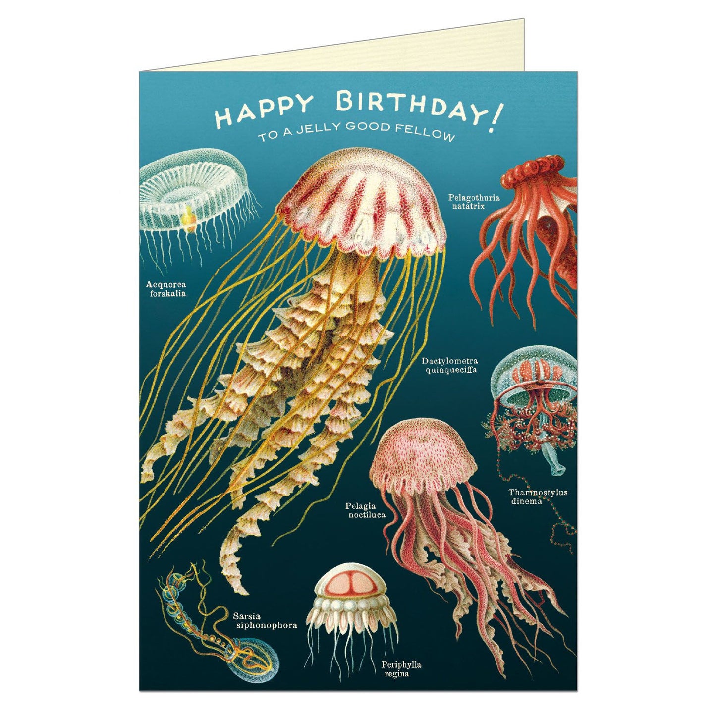 Cavallini & Co. Greeting Card - Happy Birthday Jellyfish