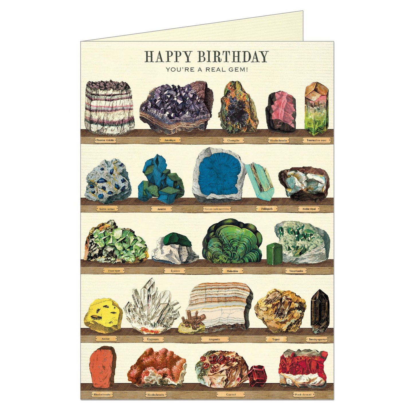 Cavallini & Co. Greeting Card - Happy Birthday Minerals