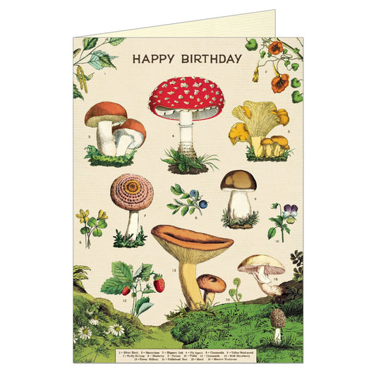 Cavallini & Co. Greeting Card - Happy Birthday Mushroom