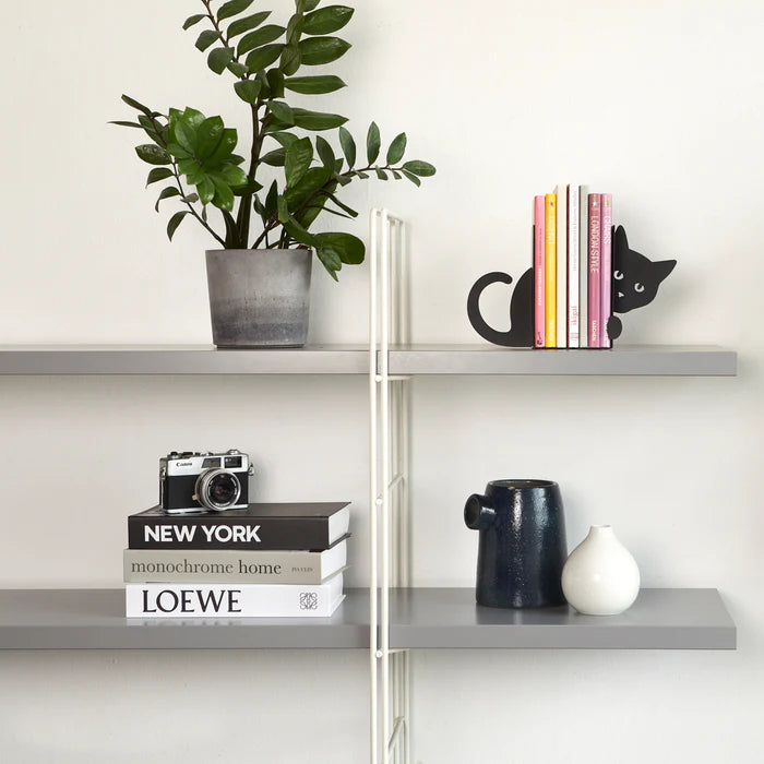 Hidden Cat Bookends