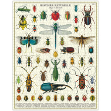 Load image into Gallery viewer, completed view of the bugs and insects 1000 piece puzzle
