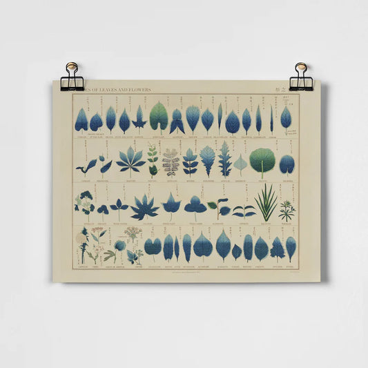 Roomytown Unframed Art Print 11"x14"- Shapes of Leaves