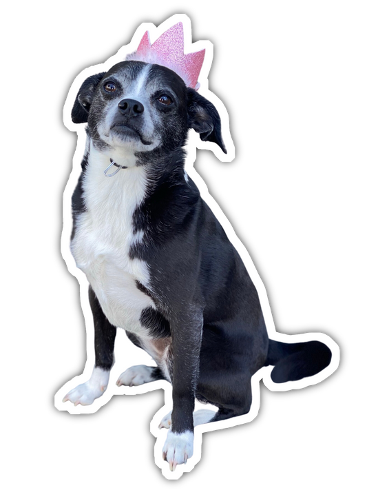 Mona the Dog Birthday Sticker (Limited Edition)