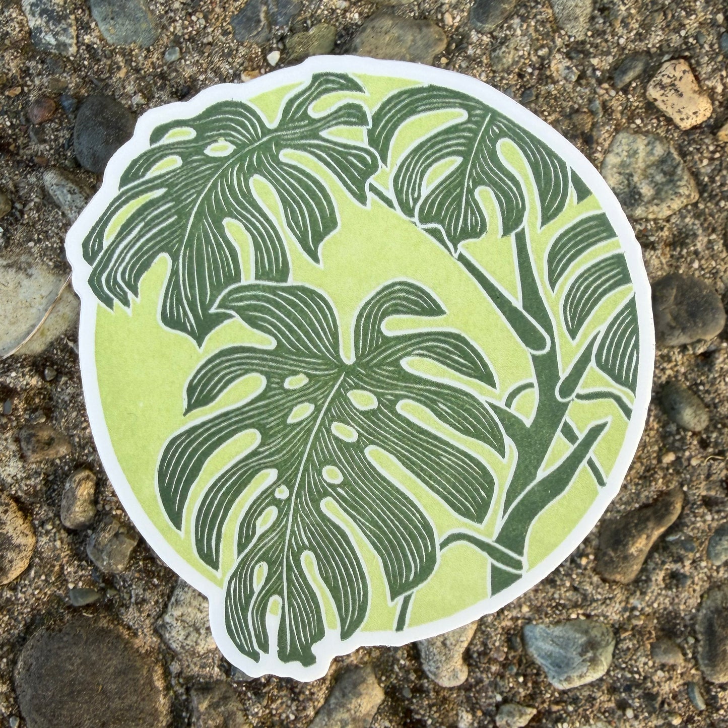 Monstera Leaf sticker featuring a two tones green design on a rocky background

