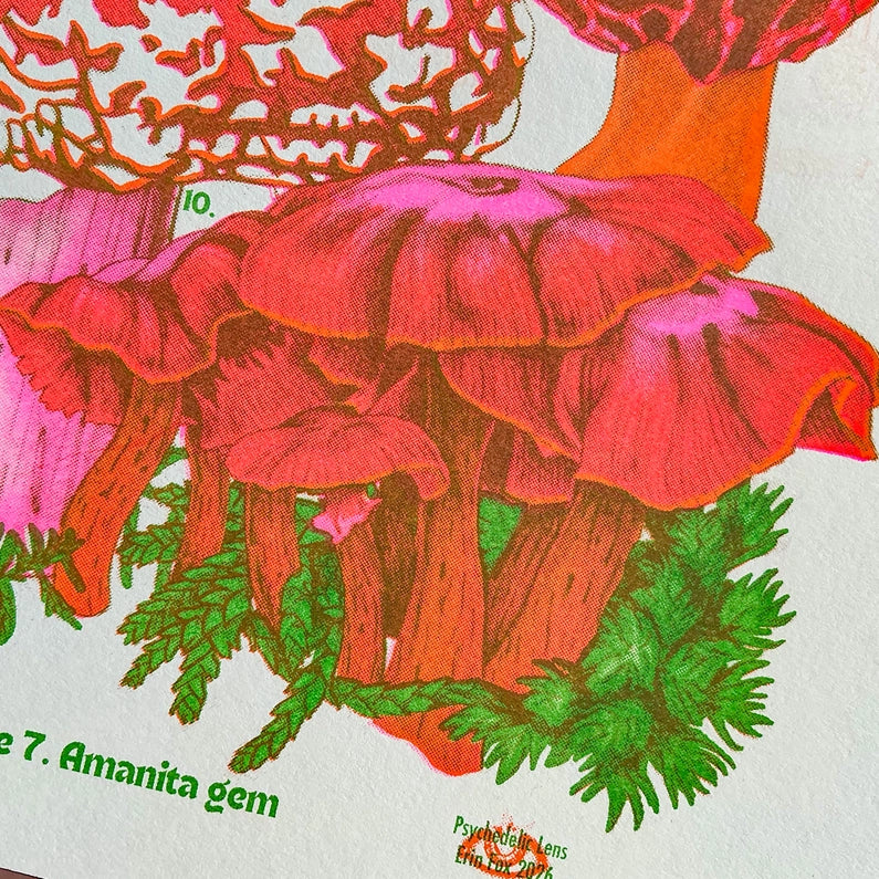 Mushrooms of the NW Riso Print