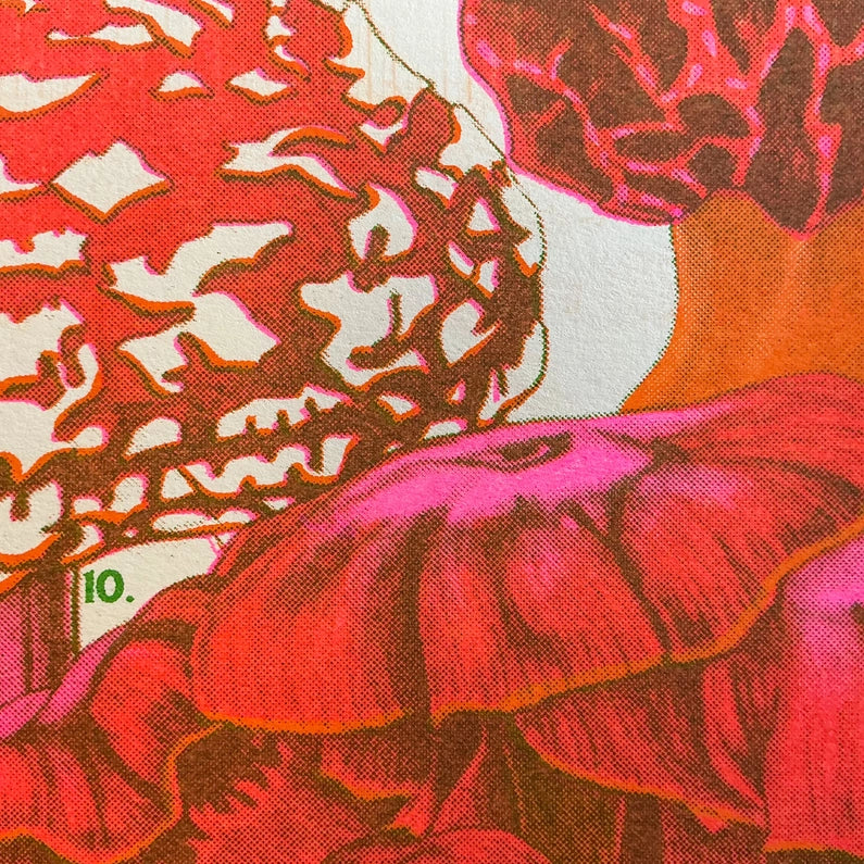 Mushrooms of the NW Riso Print
