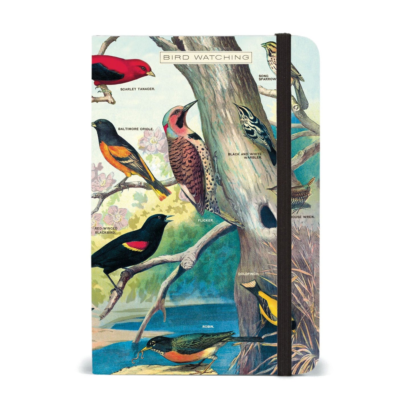 Cavallini & Co. Small Notebook - Birdwatching