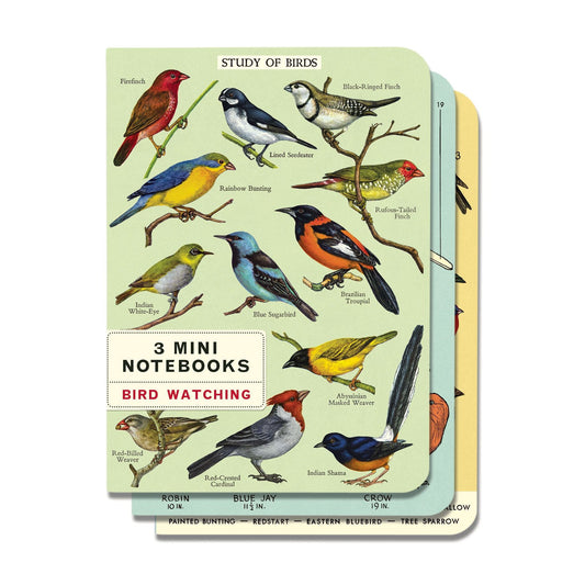 Cavallini & Co. 3 Mini Notebooks - Birdwatching
