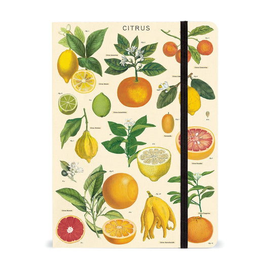 Cavallini & Co. Large Notebook - Citrus