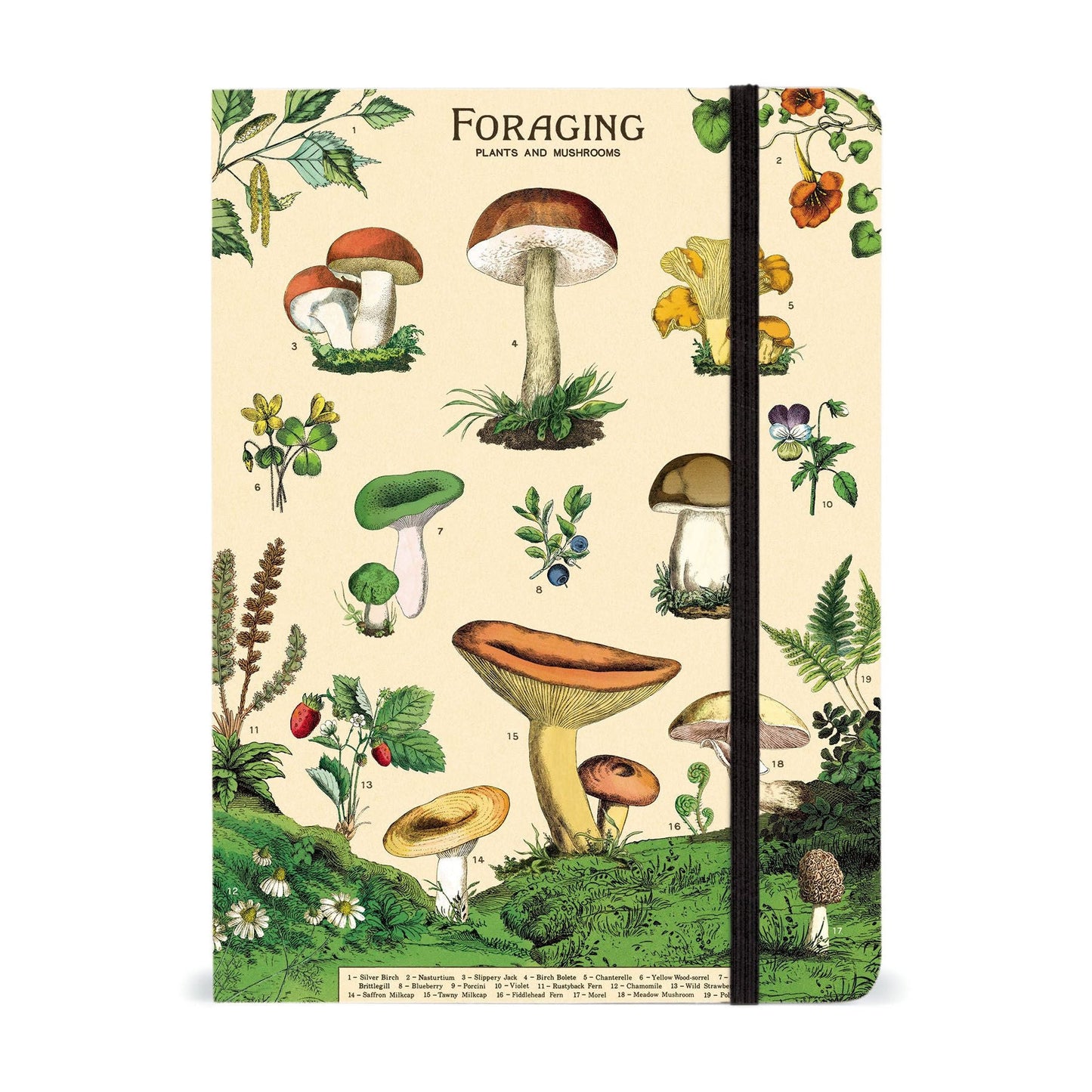 Cavallini & Co. Large Notebook - Foraging