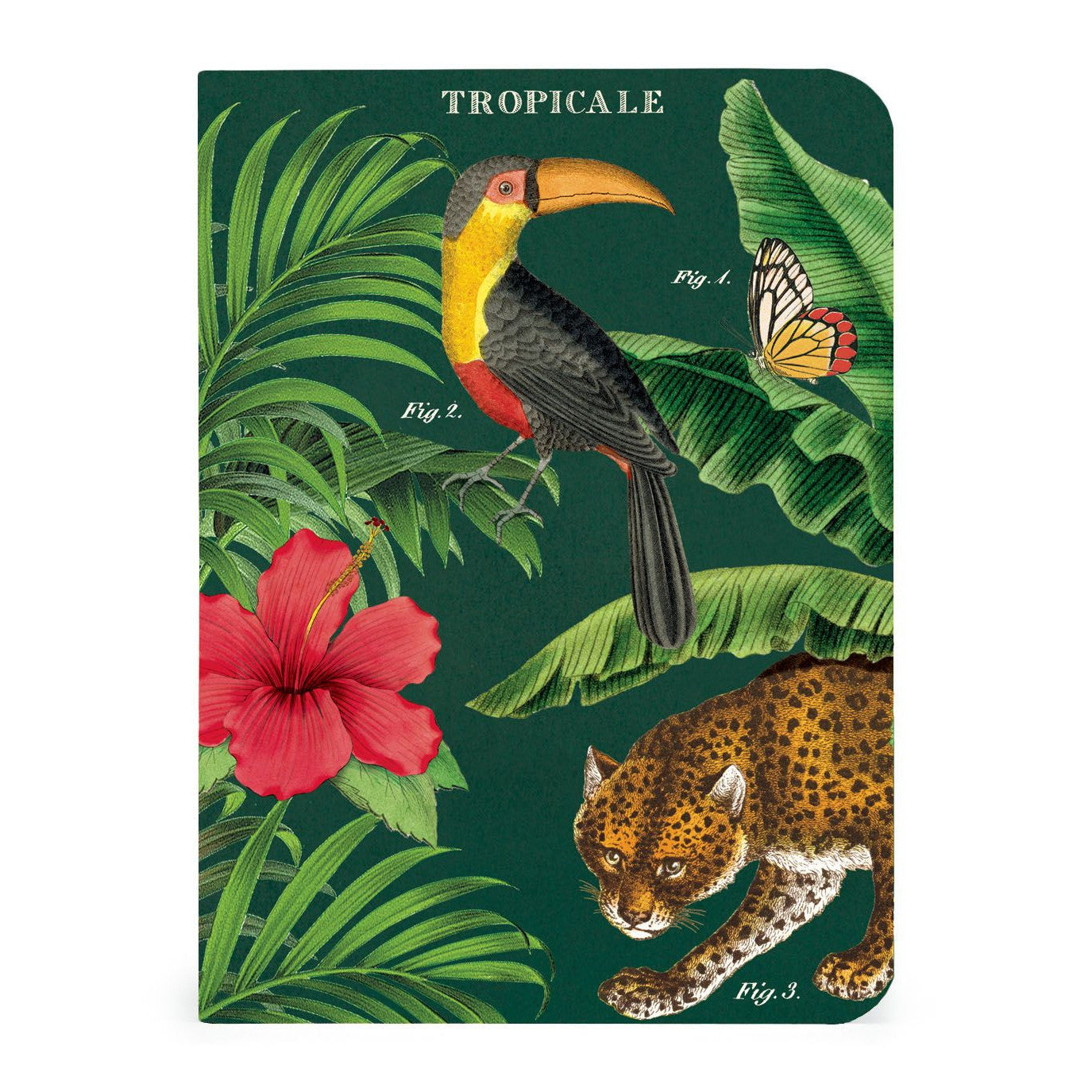 Cavallini & Co. 3 Mini Notebooks - Tropicale