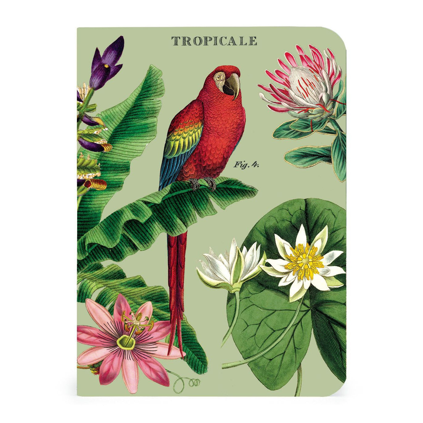 Cavallini & Co. 3 Mini Notebooks - Tropicale – Stocklist