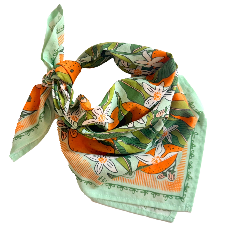 No. 146 Zoe Bandana