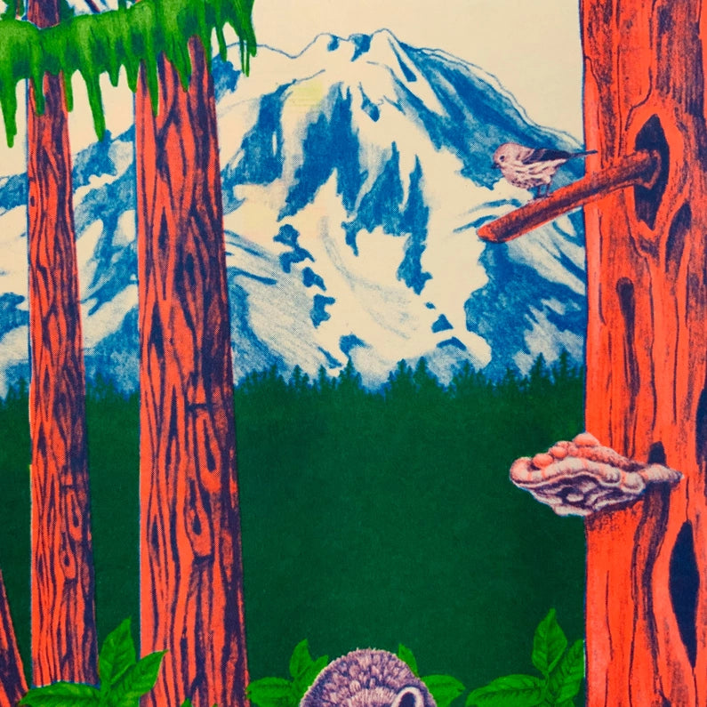PNW Nature Print