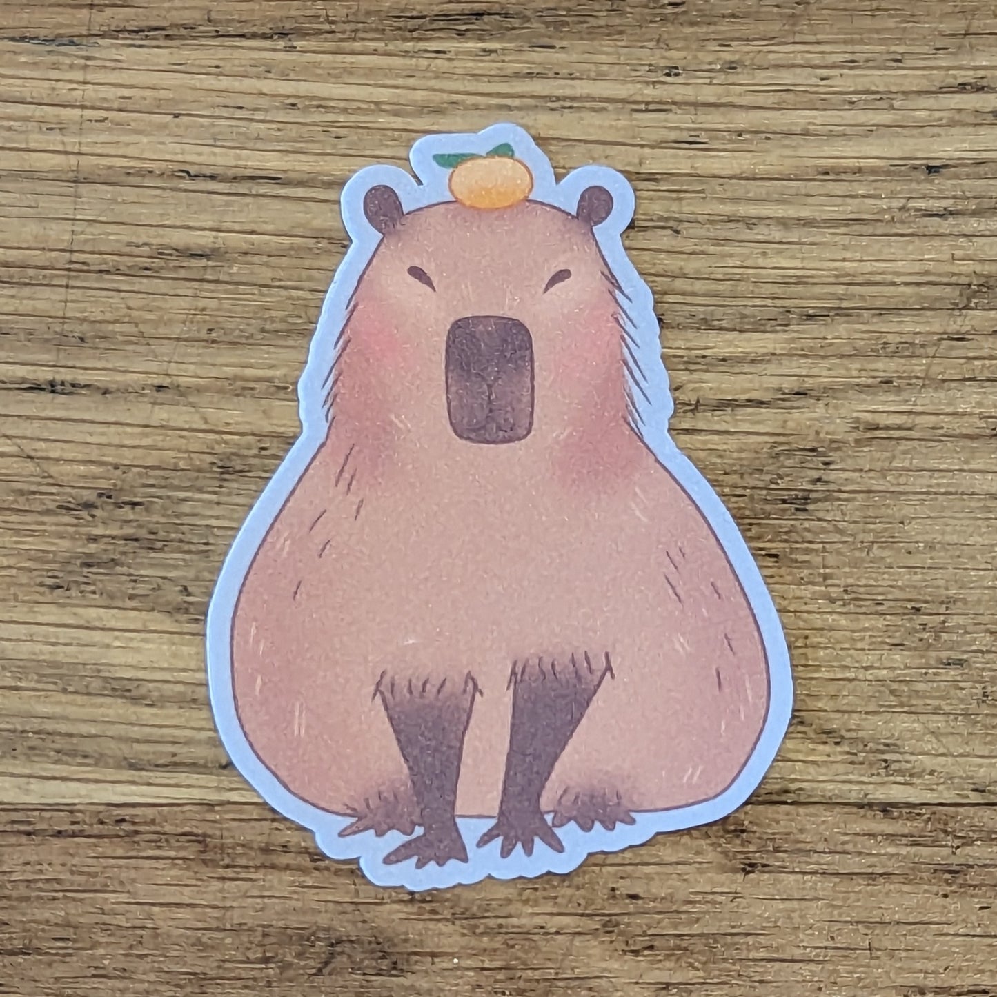 Capybara Grey Sticker