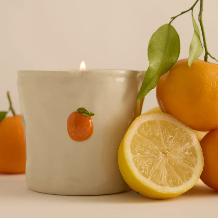 Paddywax Bistro 8oz Ceramic Candle - Citrus Spritz
