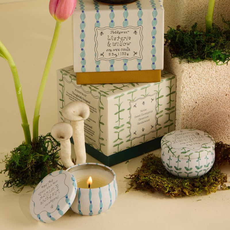 Paddywax Tulip 2oz Tin Candle - Verbena & Lemongrass