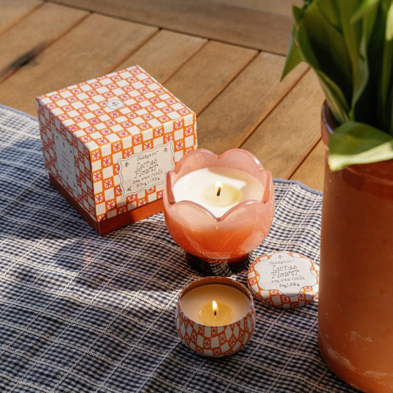 Paddywax Tulip 5.5oz Candle - Cactus Flower