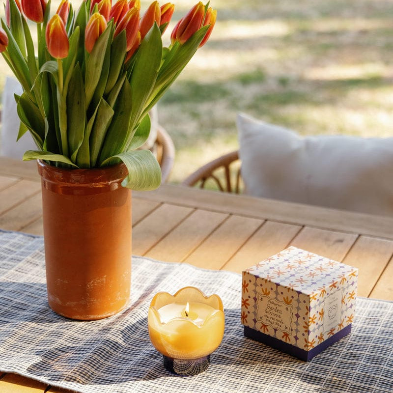 Paddywax Tulip 5.5oz Candle - Garden Grove
