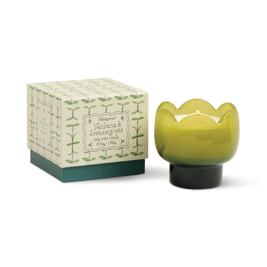 Paddywax Tulip 5.5 oz Candle in Verbena & Lemongrass