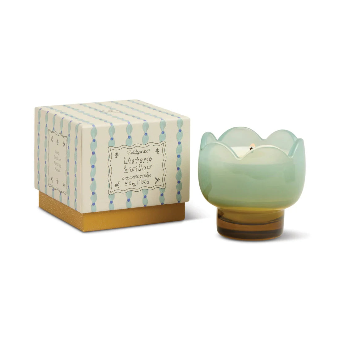 Paddywax Tulip 5.5oz Candle in Wisteria & Willow