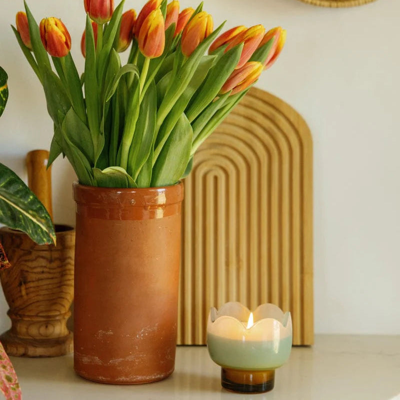 Paddywax Tulip 5.5oz Candle - Wisteria & Willow