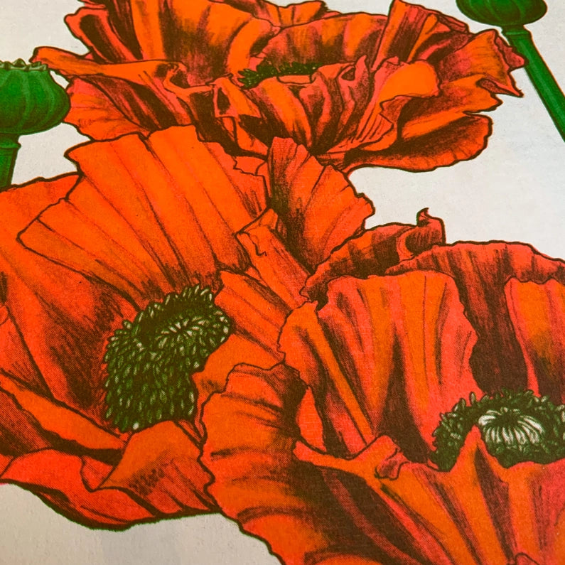 Poppies Riso Print