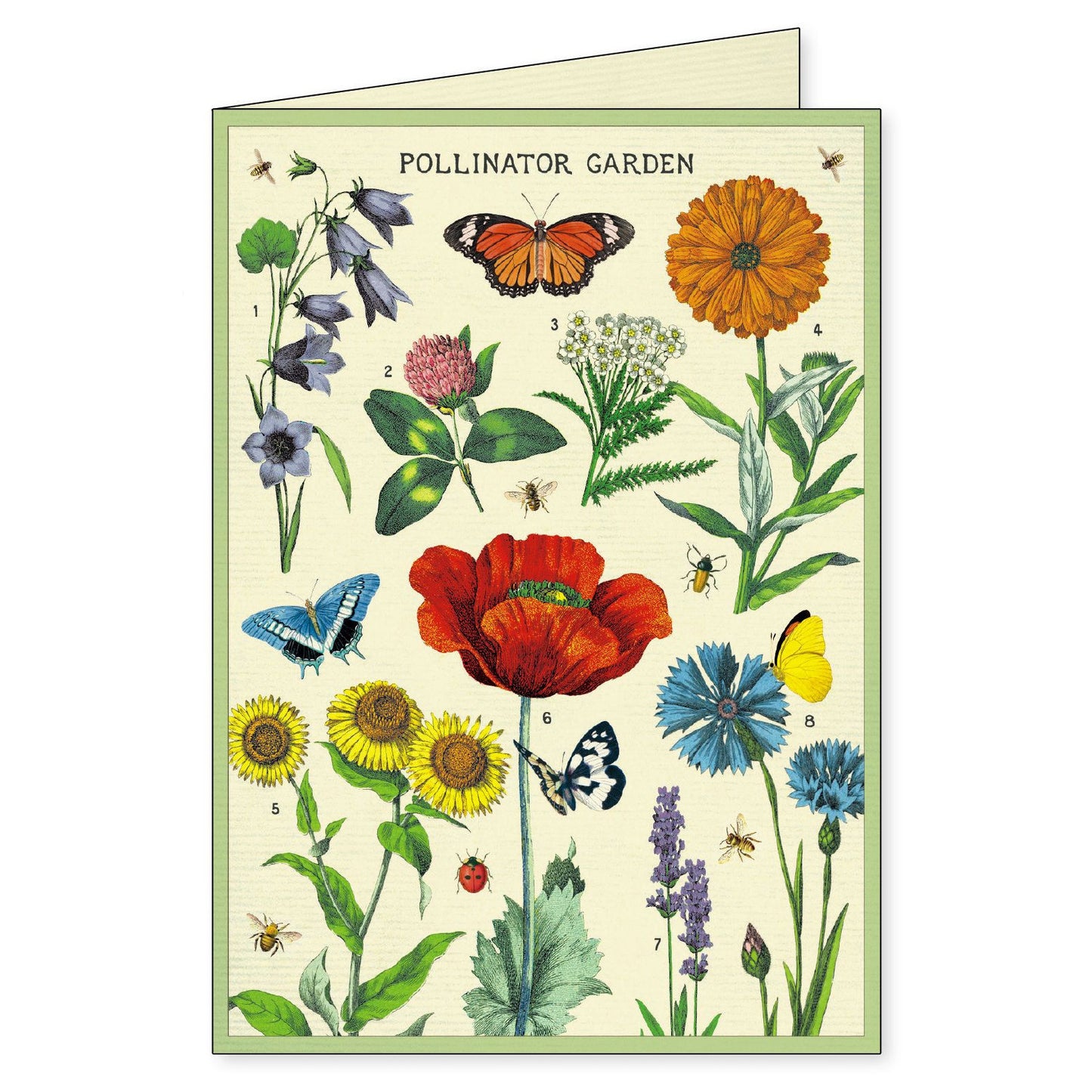 Cavallini & Co. Boxed Note Cards - Gardening