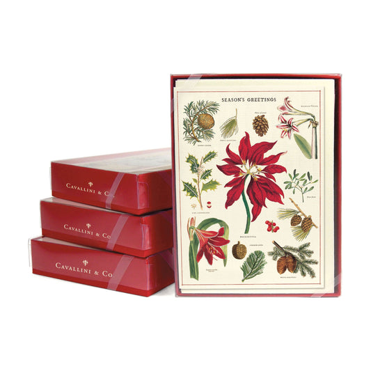 Cavallini & Co. Boxed Note Cards - Christmas Botanica