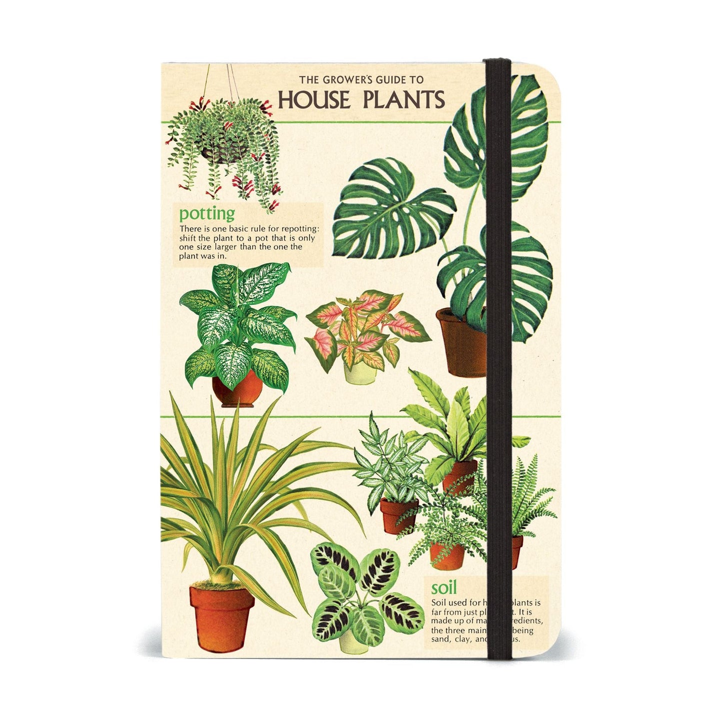 Cavallini & Co. Small Notebook - House Plants