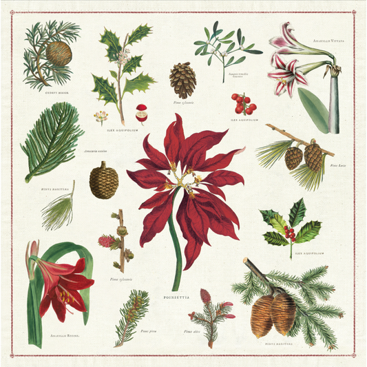 Cavallini & Co. Cloth Napkin Set of 4 - Christmas Botanica