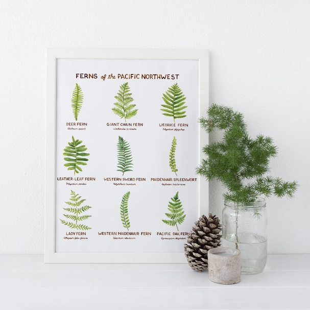 White framed print against white background. Pinecone, candle, and mason jar with pine needles sits next to it. Print features nine different types of ferns and their names. 