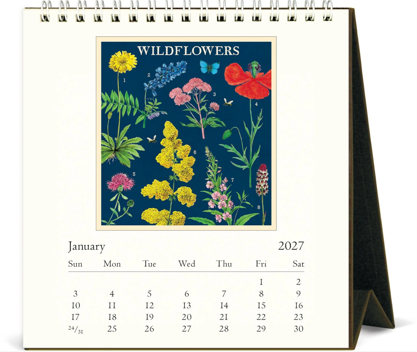 Cavallini & Co. 2027 Desk Calendar - Wildflowers