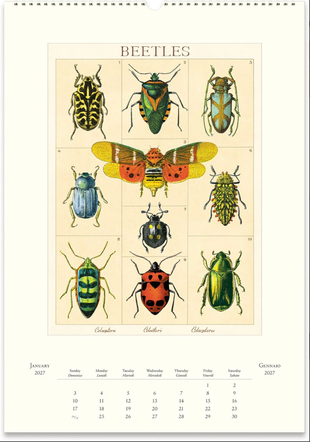 Cavallini & Co. 2027 Wall Calendar - Entomology